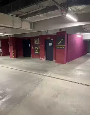 Фото к объявлению #22242854