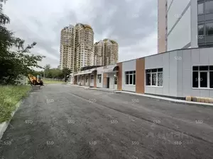 Фото к объявлению #22180561