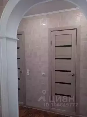 Фото к объявлению #21179064