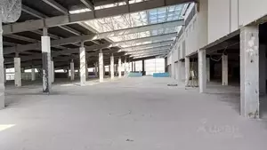 Фото к объявлению #21907711