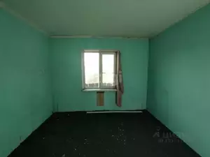 Фото к объявлению #20189228