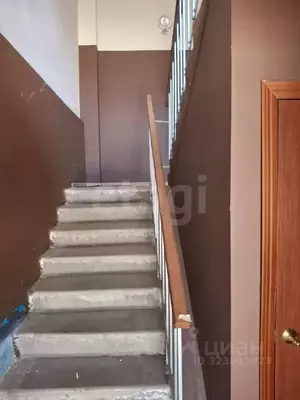 Фото к объявлению #22208966