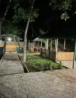 Фото к объявлению #22121559