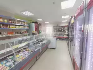 Фото к объявлению #20597209