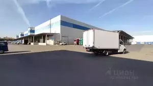 Фото к объявлению #21274679