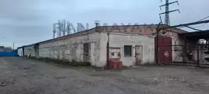 Фото к объявлению #22110347