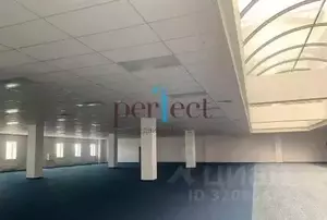 Фото к объявлению #22160353