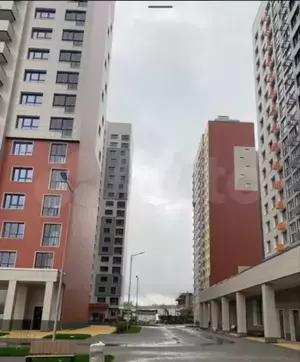 Фото к объявлению #19969384