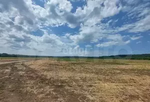 Фото к объявлению #21541277