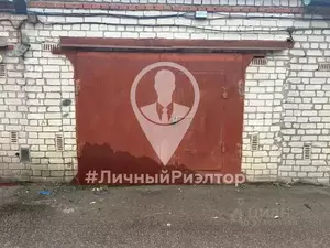 Фото к объявлению #22227706