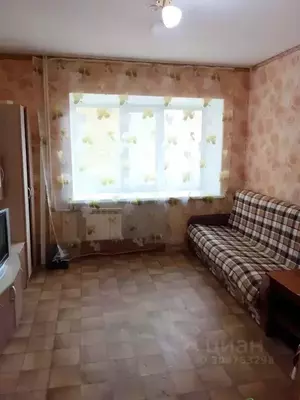 Фото к объявлению #21383464