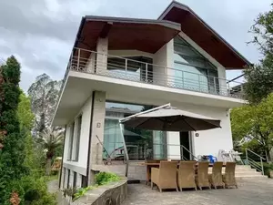 Фото к объявлению #20596798