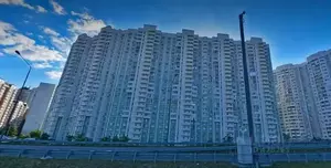 Фото к объявлению #22178421