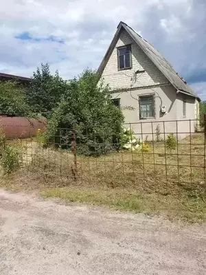 Фото к объявлению #21748763