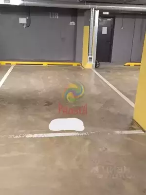 Фото к объявлению #22167485