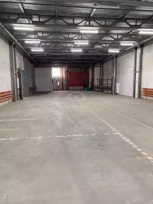 Фото к объявлению #19999598