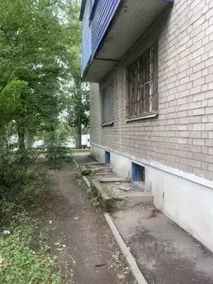 Фото к объявлению #