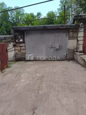 Фото к объявлению #22207212