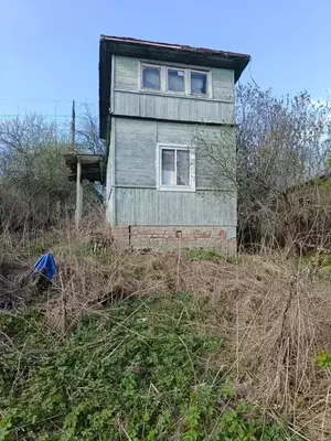 Фото к объявлению #22081115
