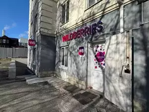 Фото к объявлению #22213408