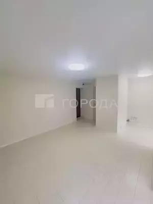 Фото к объявлению #22203357