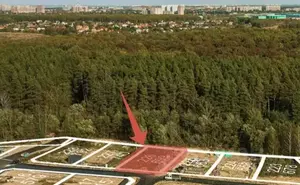 Фото к объявлению #22145250