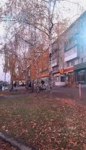 Фото к объявлению #21709200