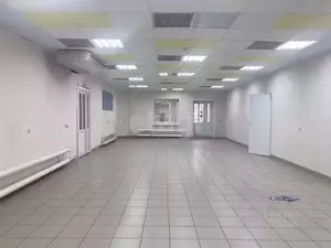 Фото к объявлению #22179224