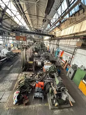 Фото к объявлению #22283806