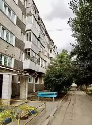 Фото к объявлению #21254147