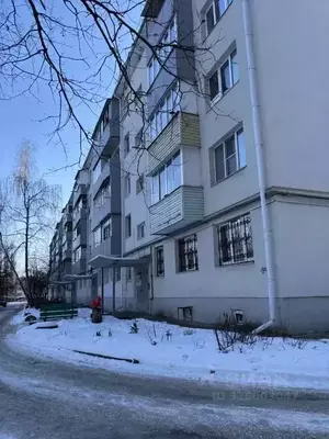 Фото к объявлению #22265026