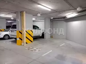 Фото к объявлению #22199732