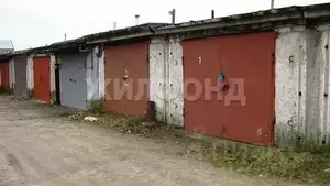 Фото к объявлению #22083282