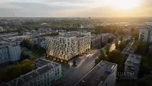 Фото к объявлению #22238729