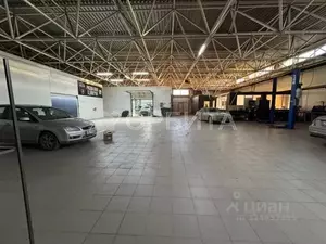 Фото к объявлению #22241363