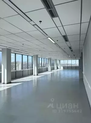 Фото к объявлению #22175477