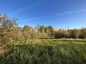 Фото к объявлению #22219222