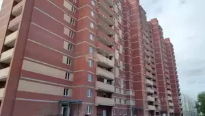 Фото к объявлению #21982959