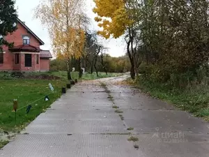 Фото к объявлению #22216316