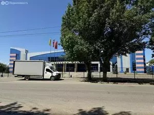 Фото к объявлению #20469713