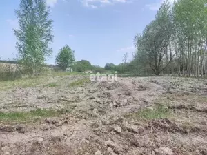 Фото к объявлению #20278976