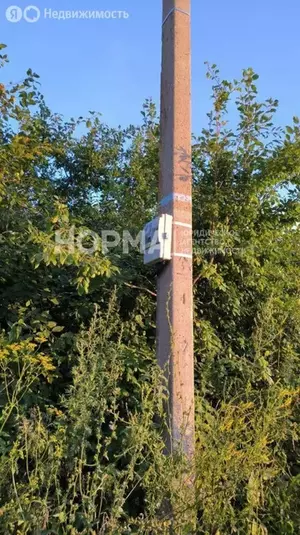 Фото к объявлению #22098522