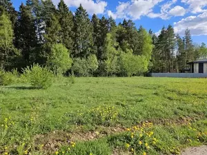 Фото к объявлению #22248560