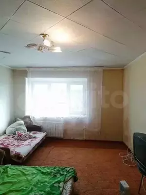 Фото к объявлению #20867706