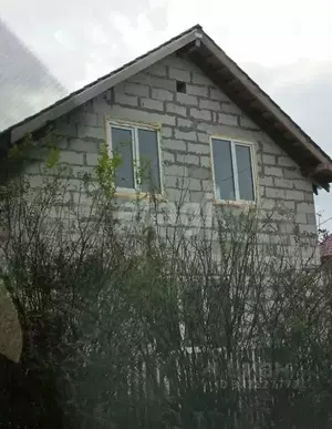 Фото к объявлению #22246130