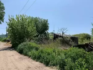 Фото к объявлению #20660265