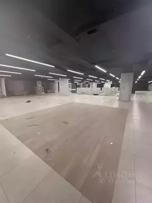 Фото к объявлению #22195143