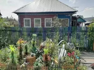 Фото к объявлению #20522459