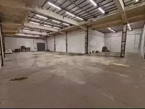 Фото к объявлению #21689769