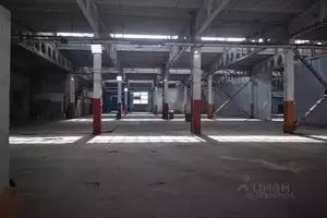 Фото к объявлению #22247580